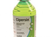 Cipersin